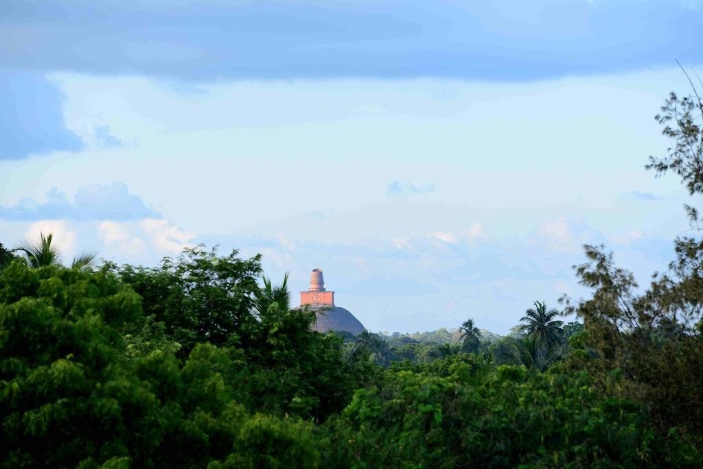 Sacred City Tourist Resort Anuradhapura Buitenkant foto